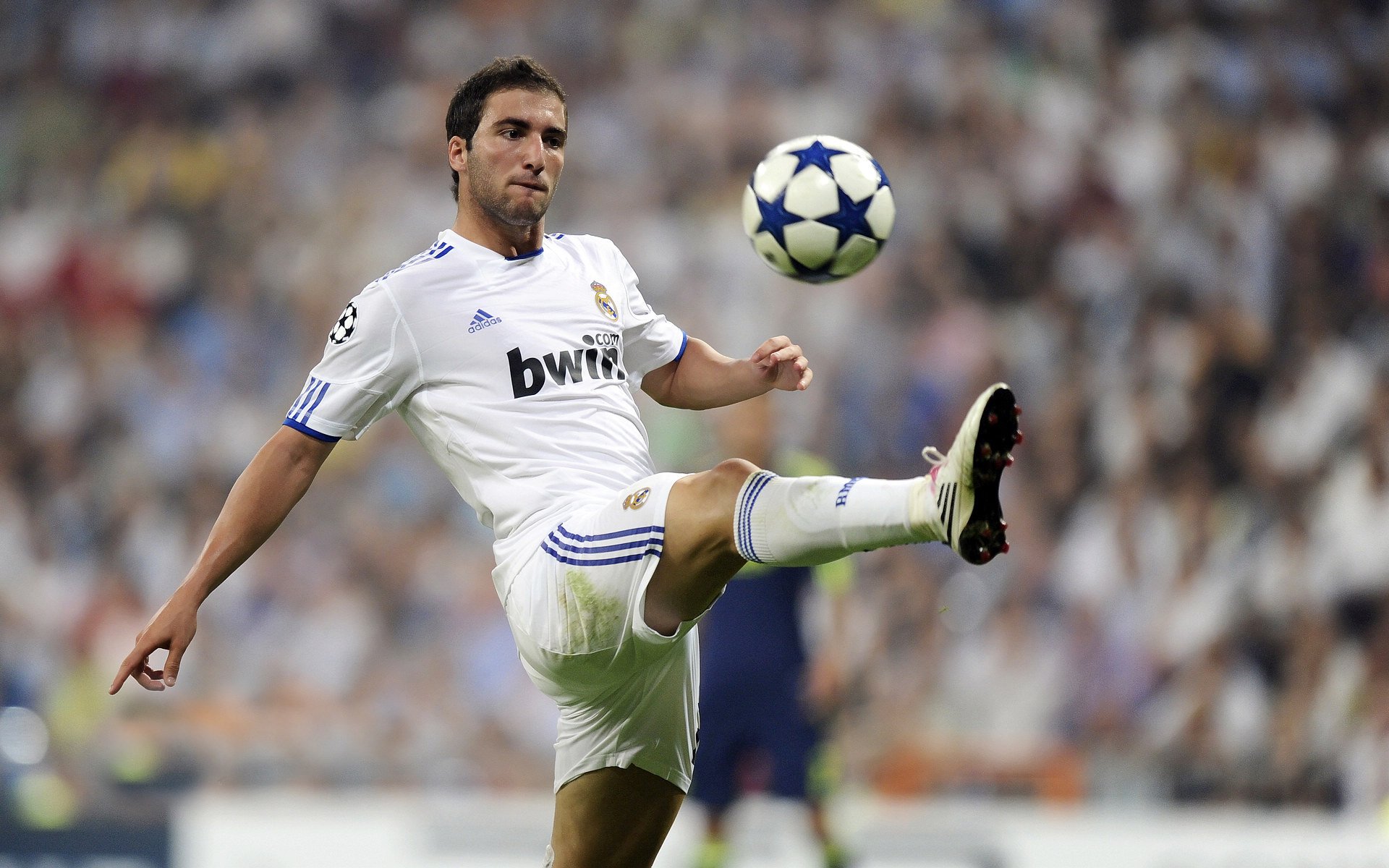 体育场馆智能管理系统,体育场馆智能管理系统有哪些